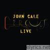 John Cale - Circus (Live)
