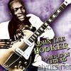 John Lee Hooker - American Legend: John Lee Hooker, Vol. 2