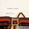 Joshua Radin - Wax Wings