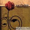 Joy Electric - The Art and Craft of Popular Music, 1994-2002
