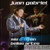 Juan Gabriel - Mis 40 en Bellas Artes (En Vivo Desde Bellas Artes, México/ 2013)