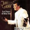 Juan Gabriel - Juan Gabriel - En el Palacio de Bellas Artes (En Vivo)