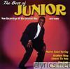Junior - The Best of Junior: Mama Used to Say