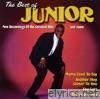 Junior - The Best of Junior: Mama Used to Say