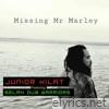 Missing Mr Marley (feat. Selah Dub Warriors) - Single