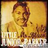 Little Junior Parker: Mr. Blues