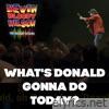 What's Donald Gonna Do Today? (The Dilligaf Sessions) - Single