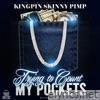 Trying To Count My Pockets - Single
