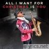 All I Want for Christmas is You - Single