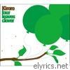 Kiroro - Four Leaves Clover