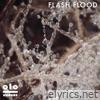 Kongos - Flash Flood