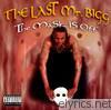 Last Mr. Bigg - The Mask Is Off