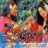 Lil Hawaiian (feat. Malia Kerr, Loke Sasil & Danny Kennedy) - Single