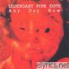 Legendary Pink Dots - Any Day Now