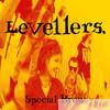 Levellers - Special Brew