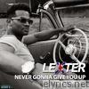 Never Gonna Give You up (Sweet Sensation) - EP