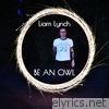 Liam Lynch - Be an Owl