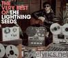 The Very Best 0f Lightning Seeds