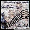 You'll Never Know (Re-Recorded Versions)