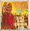 Little Feat - Ain't Had Enough Fun