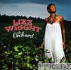 Lizz Wright - The Orchard