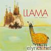Llama - Close to the Silence