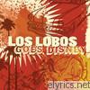 Los Lobos Goes Disney