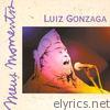 Luiz Gonzaga - Meus Momentos