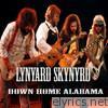 Lynyrd Skynyrd - Down Home Alabama (Live)