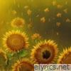 Sunflower Fields - Single