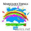Mark Condon - Marvelous Things