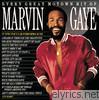 Marvin Gaye - Every Great Motown Hit of Marvin Gaye