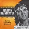 Marvin Rainwater - Gonna Find Me a Bluebird (Rerecorded) - Single