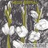 Mecca Normal (The First Album)