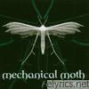 Mechanical Moth - Fallen Into You