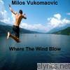 Milos Vukomanovic - Where the Wind Blows