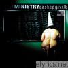Ministry - Dark Side of the Spoon