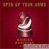 Open Up Your Arms - Single