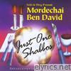 Mordechai Ben David - Just One Shabbos