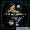Mose Giganticus - Gift Horse