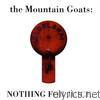 Mountain Goats - Nothing for Juice