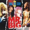 Mr. Big - Raw Like Sushi, Vol. 2 (Live)