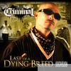 Mr. Criminal - Last of a Dying Breed