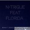 What Does It Feel Like (feat. Flo Rida) [Remixes] - Single