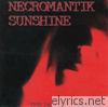 Necromantik Sunshine - The Pain of Pleasure!