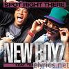 New Boyz - Spot Right There (feat. Teairra Mari) - Single