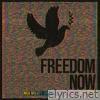 Freedom Now (feat. Golshifteh Farahani & Arooj Aftab) - Single