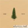 Tree Tops - Single