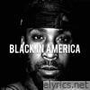 Black in America - EP