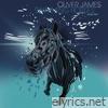 Swimming Horses (Ben Casey 2024 Remix) - Single
